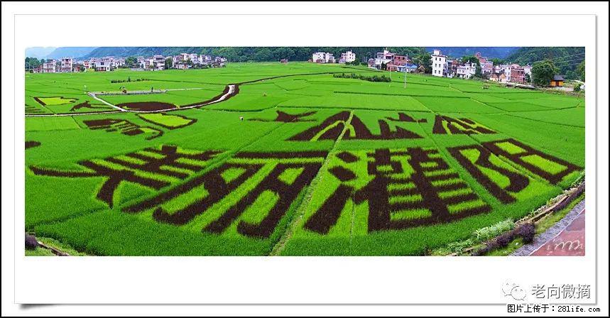 【春天,广西桂林灌阳县向您发出邀请!】开篇 - 游山玩水 - 伊春生活社区 - 伊春28生活网 yich.28life.com