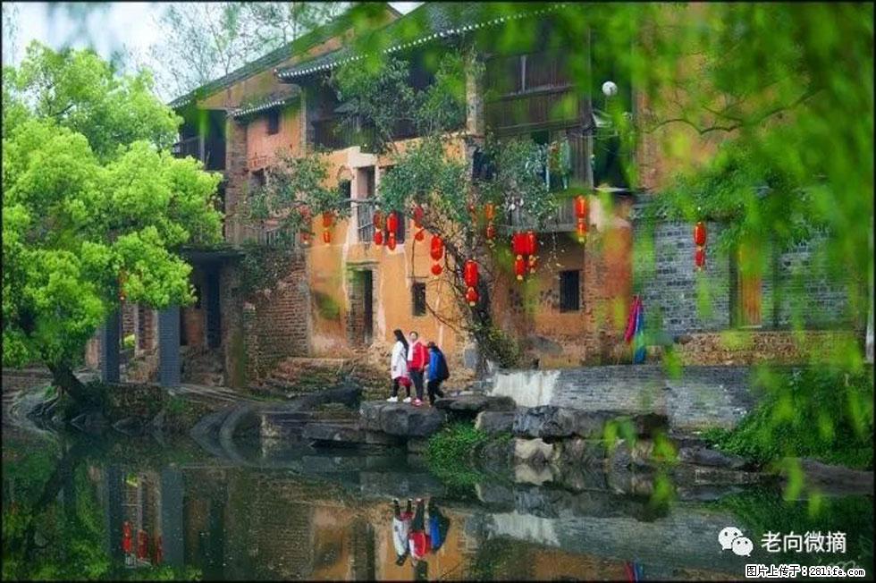【春天,广西桂林灌阳县向您发出邀请!】江口老街又逢春 - 游山玩水 - 伊春生活社区 - 伊春28生活网 yich.28life.com