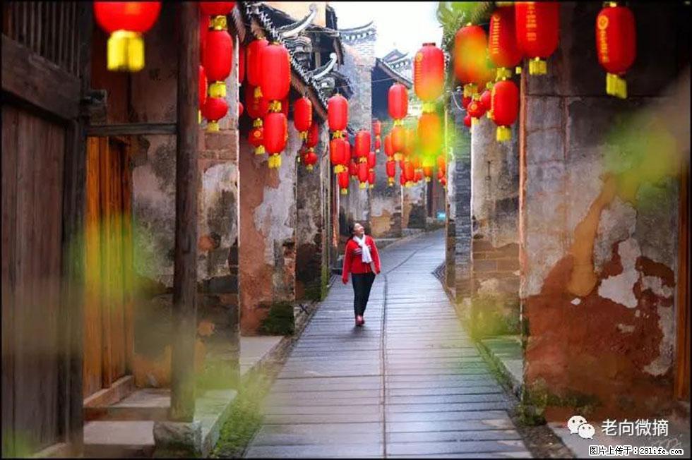 【春天,广西桂林灌阳县向您发出邀请!】江口老街又逢春 - 游山玩水 - 伊春生活社区 - 伊春28生活网 yich.28life.com