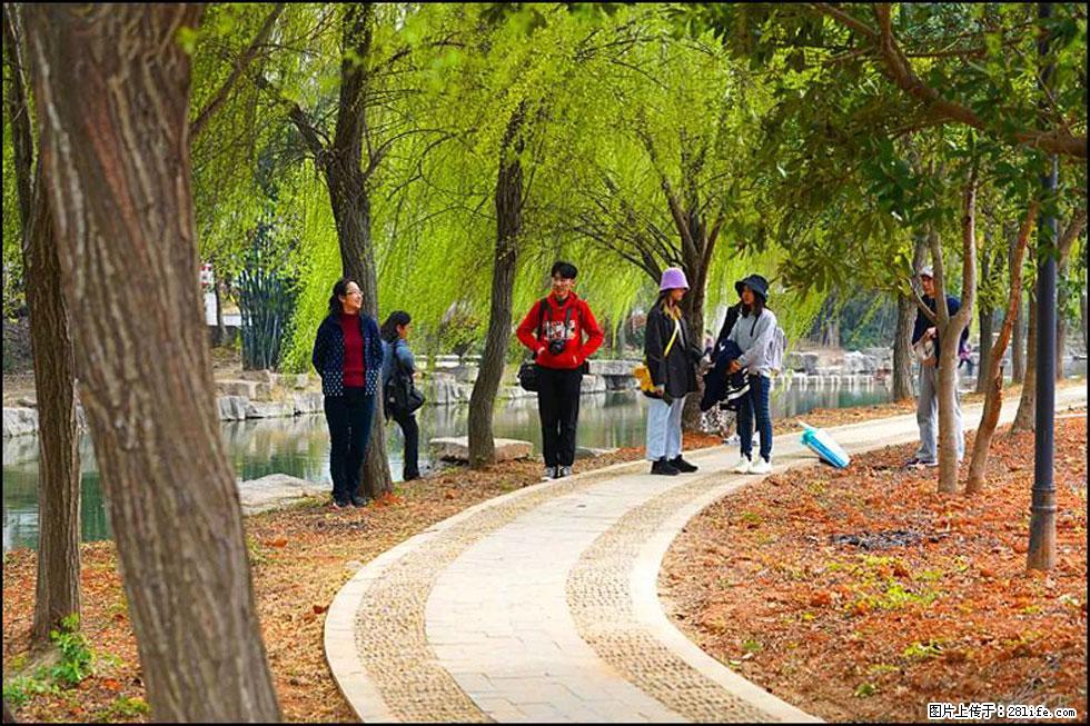 【春天,广西桂林灌阳县向您发出邀请!】江口老街又逢春 - 游山玩水 - 伊春生活社区 - 伊春28生活网 yich.28life.com