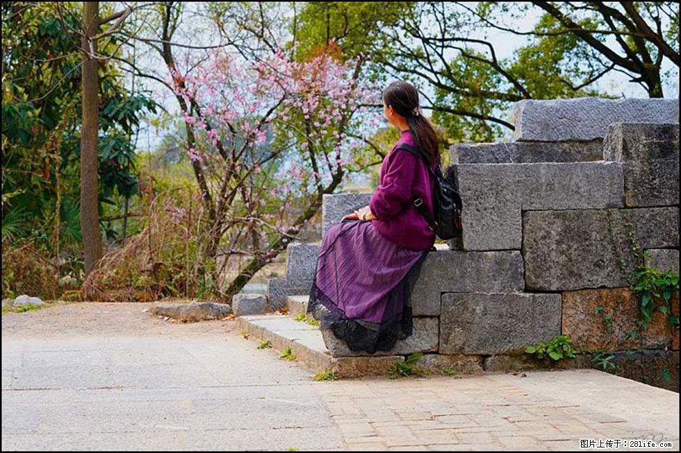 【春天,广西桂林灌阳县向您发出邀请!】江口老街又逢春 - 游山玩水 - 伊春生活社区 - 伊春28生活网 yich.28life.com