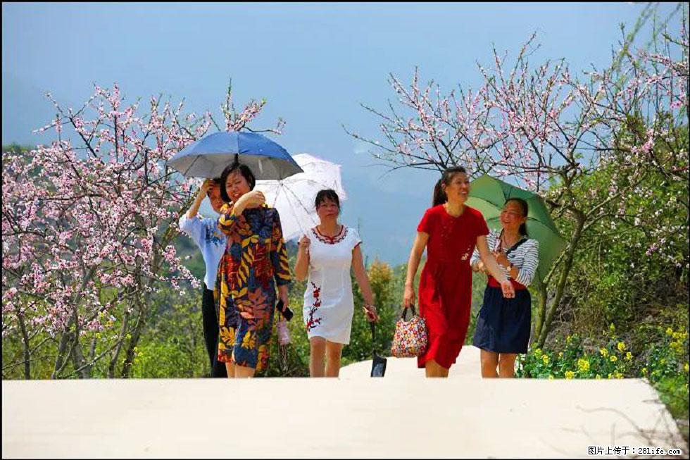 【春天，广西桂林灌阳县向您发出邀请！】望月岭上桃花开 - 游山玩水 - 伊春生活社区 - 伊春28生活网 yich.28life.com