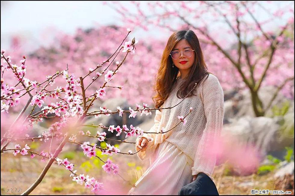 【春天，广西桂林灌阳县向您发出邀请！】望月岭上桃花开 - 游山玩水 - 伊春生活社区 - 伊春28生活网 yich.28life.com
