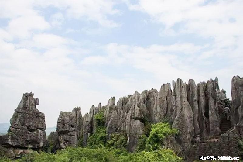 桂林旅游名城景点：灌阳文市石林 - 游山玩水 - 伊春生活社区 - 伊春28生活网 yich.28life.com