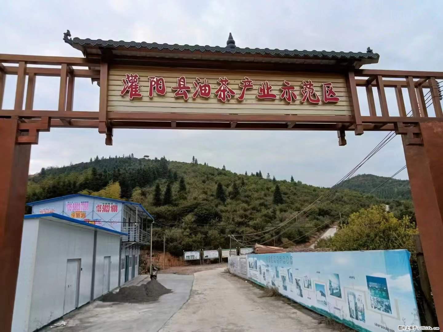 【灌阳县油茶产业示范区】一个有着充实的精神生活的人,对待身外之物自会有一种淡泊的态度 - 美食天地 - 伊春生活社区 - 伊春28生活网 yich.28life.com