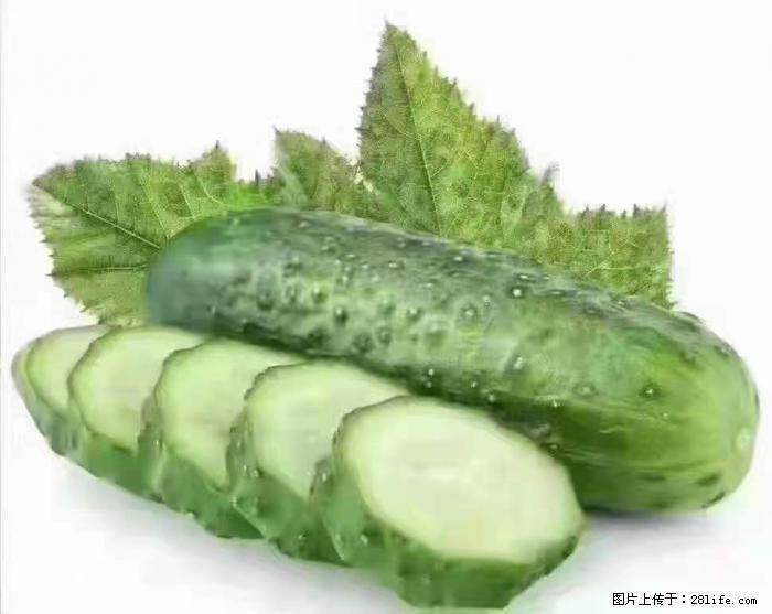 【生活小常识】吃黄瓜的好处 - 生活百科 - 伊春生活社区 - 伊春28生活网 yich.28life.com