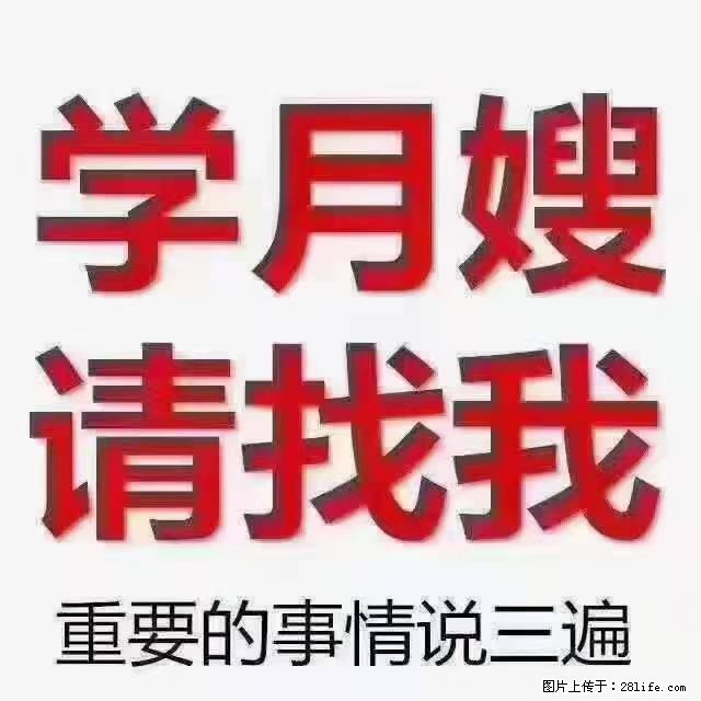 【招聘】月嫂,上海徐汇区 - 职场交流 - 伊春生活社区 - 伊春28生活网 yich.28life.com