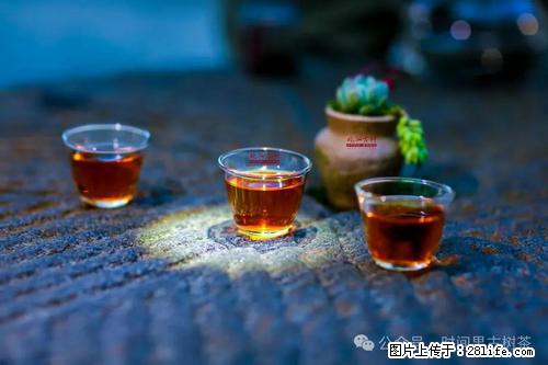 时间果百年古树2025年春红茶 - 购物交流 - 伊春生活社区 - 伊春28生活网 yich.28life.com