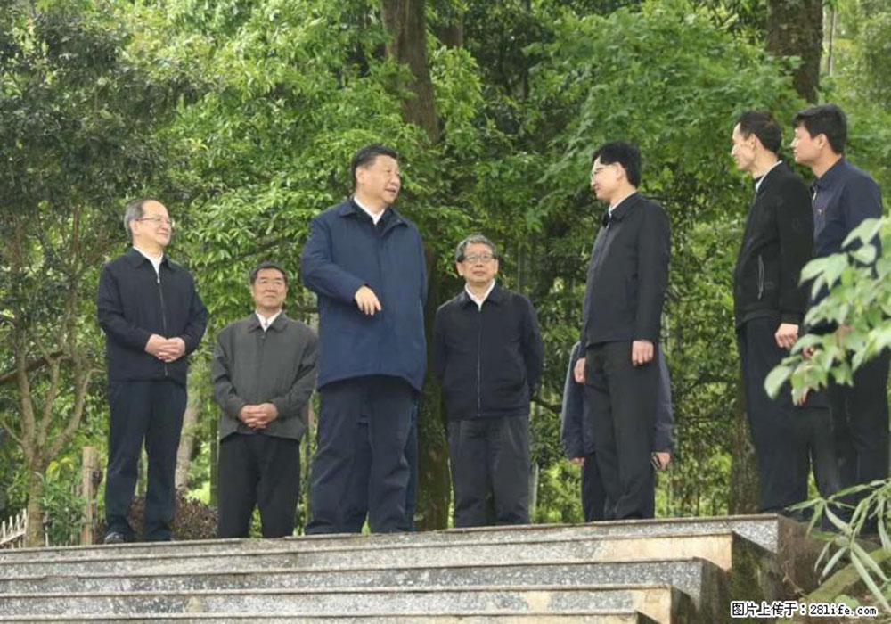 习近平赴广西考察调研 - 伊春生活资讯 - 伊春28生活网 yich.28life.com