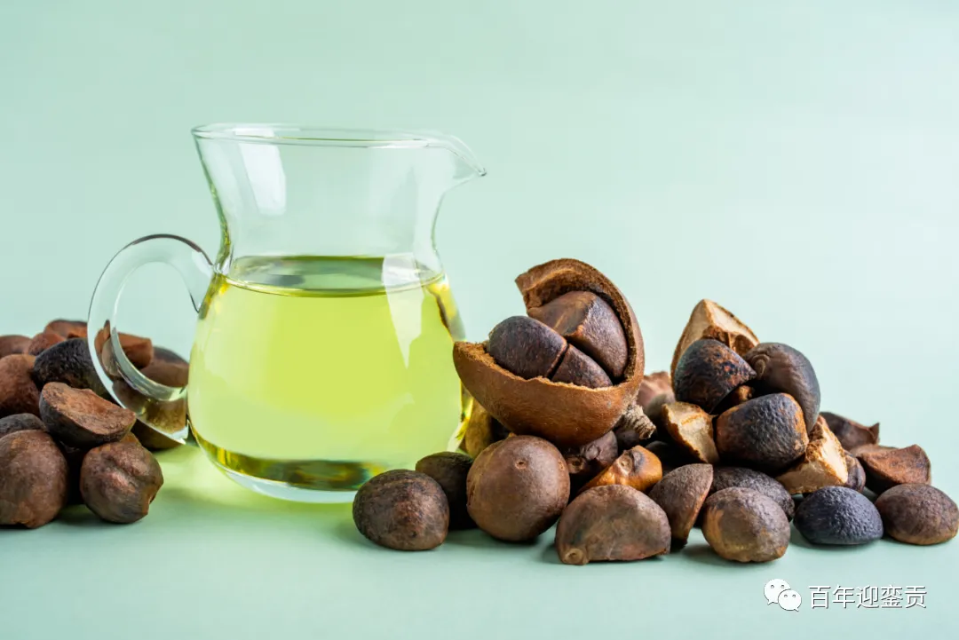 世界没有真相,只有认知,最好的食用油是中国的山茶油! - 伊春生活资讯 - 伊春28生活网 yich.28life.com