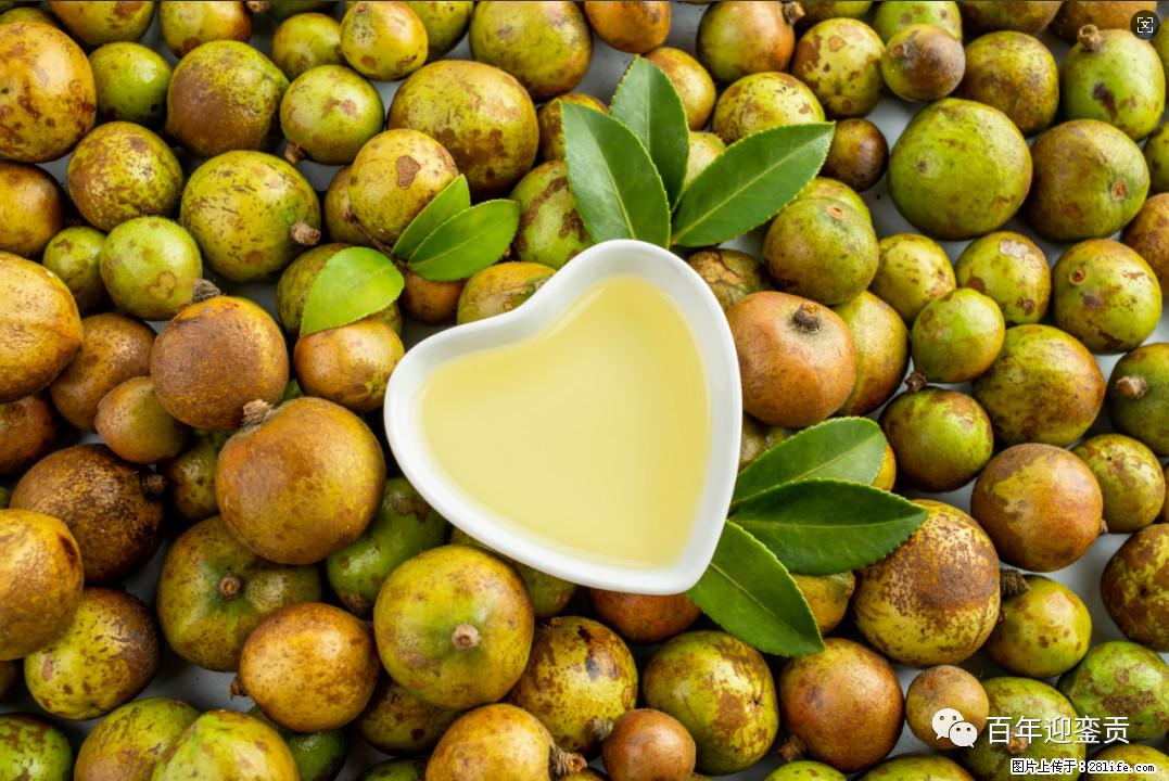 世界没有真相,只有认知,最好的食用油是中国的山茶油! - 伊春生活资讯 - 伊春28生活网 yich.28life.com