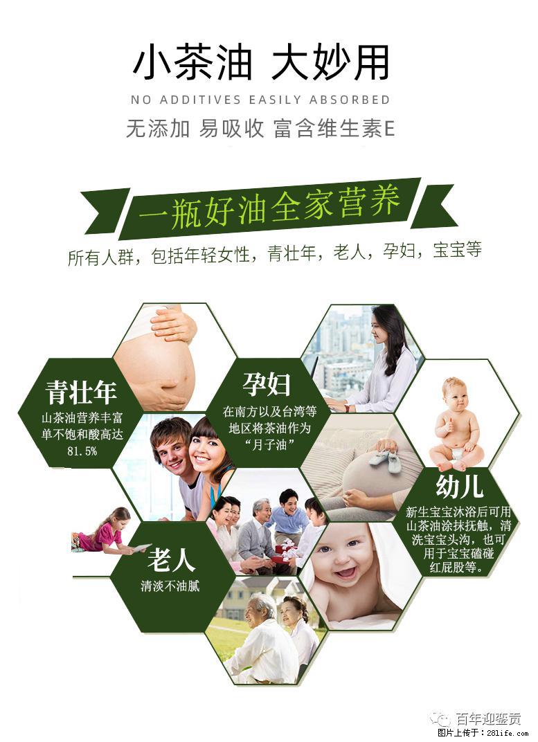 世界没有真相,只有认知,最好的食用油是中国的山茶油! - 伊春生活资讯 - 伊春28生活网 yich.28life.com