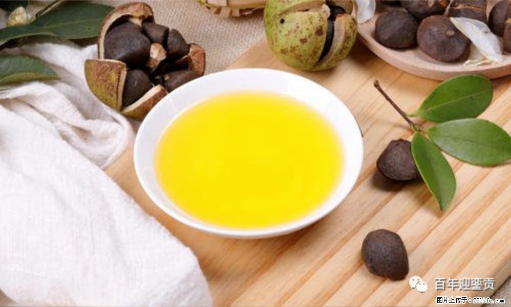 世界没有真相,只有认知,最好的食用油是中国的山茶油! - 伊春生活资讯 - 伊春28生活网 yich.28life.com