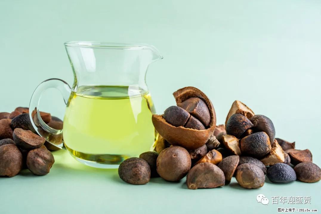 世界没有真相，只有认知，最好的食用油是中国的山茶油！ - 伊春生活资讯 - 伊春28生活网 yich.28life.com