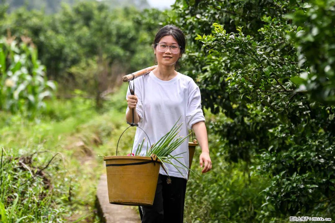 全网追的“扁担女孩”,找了一份暑假工,时薪12元 - 伊春生活资讯 - 伊春28生活网 yich.28life.com