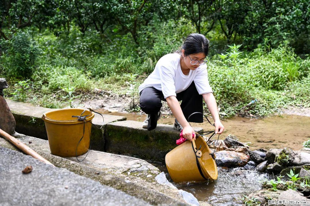 全网追的“扁担女孩”,找了一份暑假工,时薪12元 - 伊春生活资讯 - 伊春28生活网 yich.28life.com