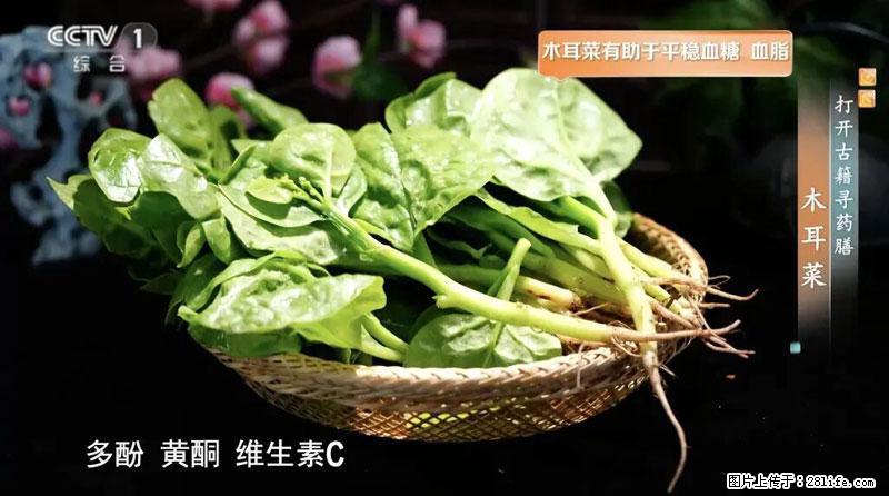 比牛奶补钙还厉害！凉血解毒、稳血糖...这菜冬天必吃，很多人却当草 - 伊春生活资讯 - 伊春28生活网 yich.28life.com