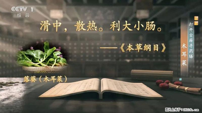 比牛奶补钙还厉害！凉血解毒、稳血糖...这菜冬天必吃，很多人却当草 - 伊春生活资讯 - 伊春28生活网 yich.28life.com