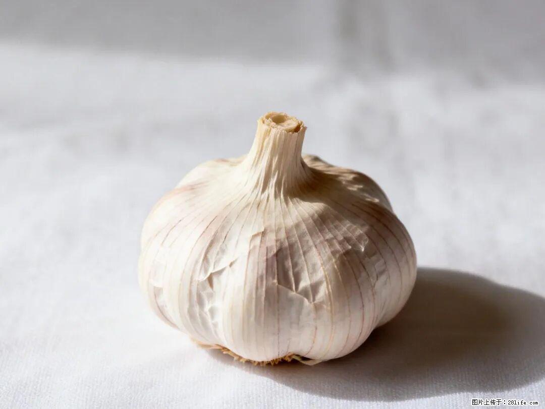 关于大蒜，除了“天然抗生素”，这4个谣言更该警惕! - 伊春生活资讯 - 伊春28生活网 yich.28life.com