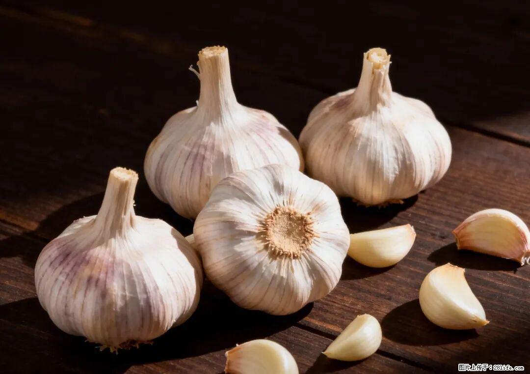 关于大蒜，除了“天然抗生素”，这4个谣言更该警惕! - 伊春生活资讯 - 伊春28生活网 yich.28life.com