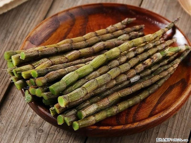 铁皮石斛的作用与功能主治 - 伊春生活资讯 - 伊春28生活网 yich.28life.com