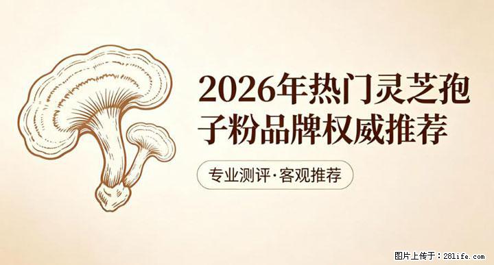 灵芝孢子粉含量越高越有效？2026 年七款热门品牌深度实测，肠胃敏感者避坑指南 - 伊春生活资讯 - 伊春28生活网 yich.28life.com