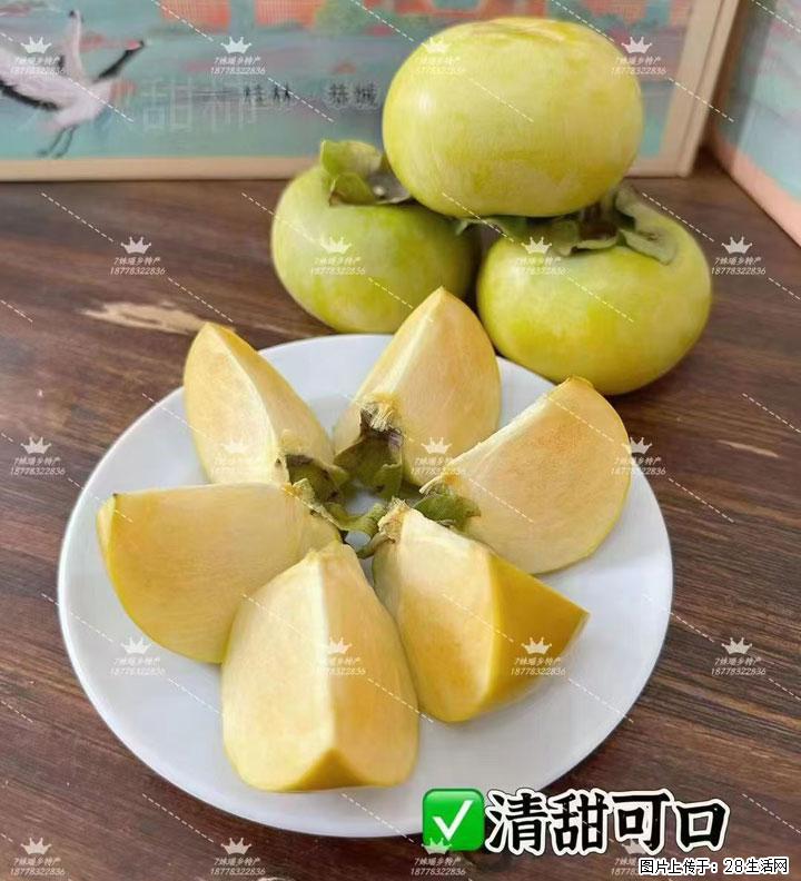 广西桂林平乐桥亭【红心猕猴桃】、【大秋甜柿】上市啦，欢迎各位新老客户下单（另有少量小果出售） - 伊春生活资讯 - 伊春28生活网 yich.28life.com